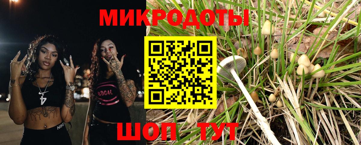 Псилоцибиновые грибы прущие грибы  Вход с VPN  Гудермес 